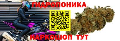 ГАЛЛЮЦИНОГЕННЫЕ ГРИБЫ Балашиха