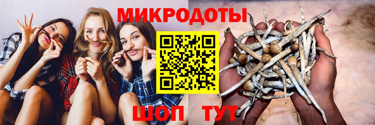Галлюциногенные грибы Cubensis Морозовск