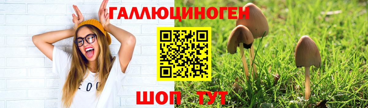 Галлюциногенные грибы GOLDEN TEACHER Морозовск